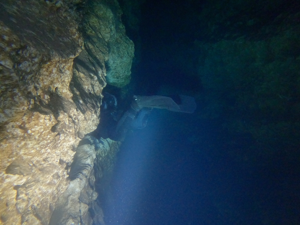 Dayo Scuba Center LLC, Orlando Florida www.dayo.com