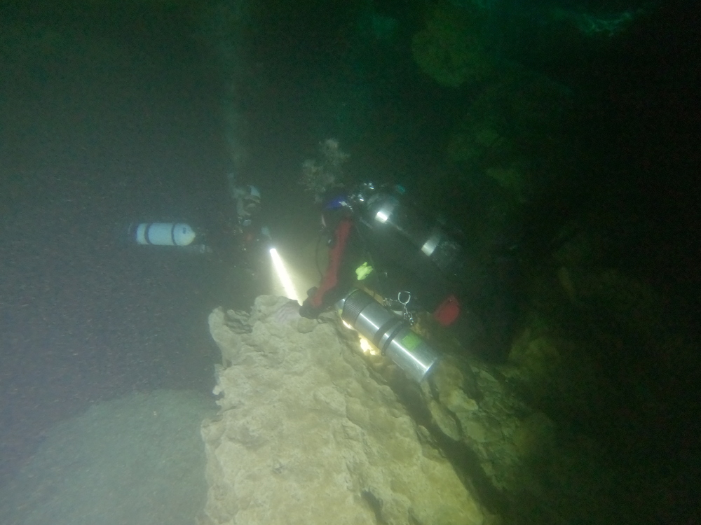 Dayo Scuba Center LLC, Orlando Florida www.dayo.com