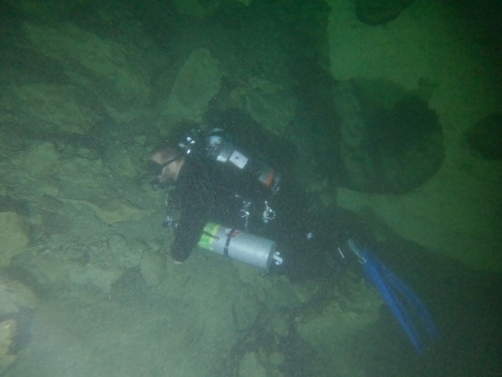 Dayo Scuba Center LLC, Orlando Florida www.dayo.com