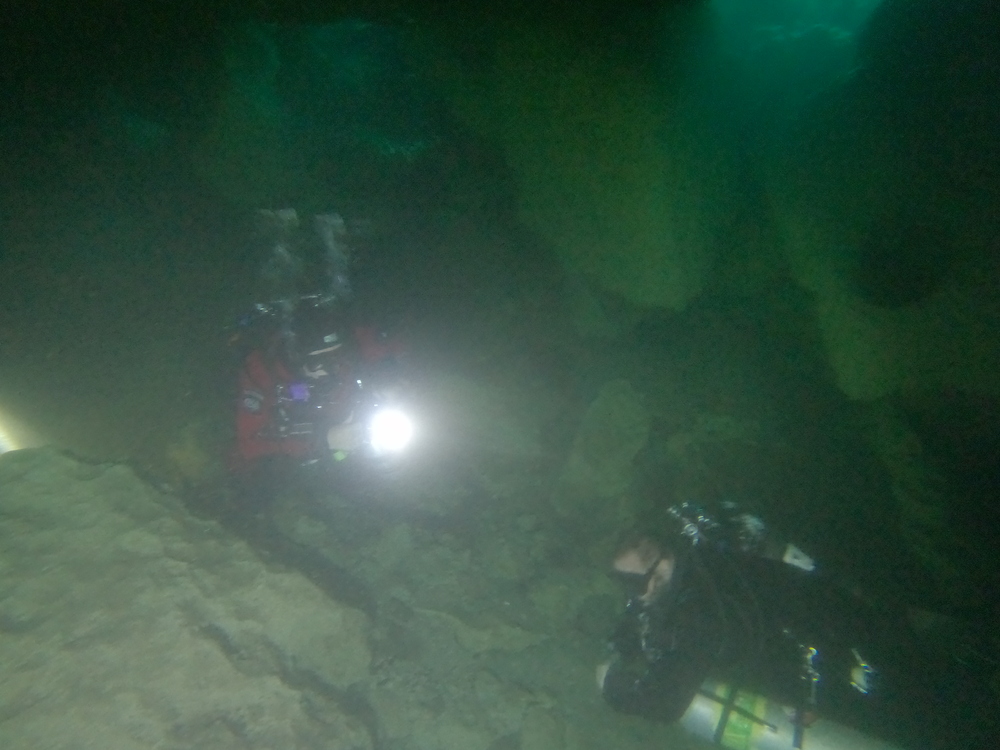 Dayo Scuba Center LLC, Orlando Florida www.dayo.com