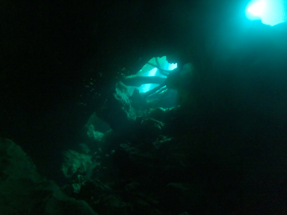 Dayo Scuba Center LLC, Orlando Florida www.dayo.com