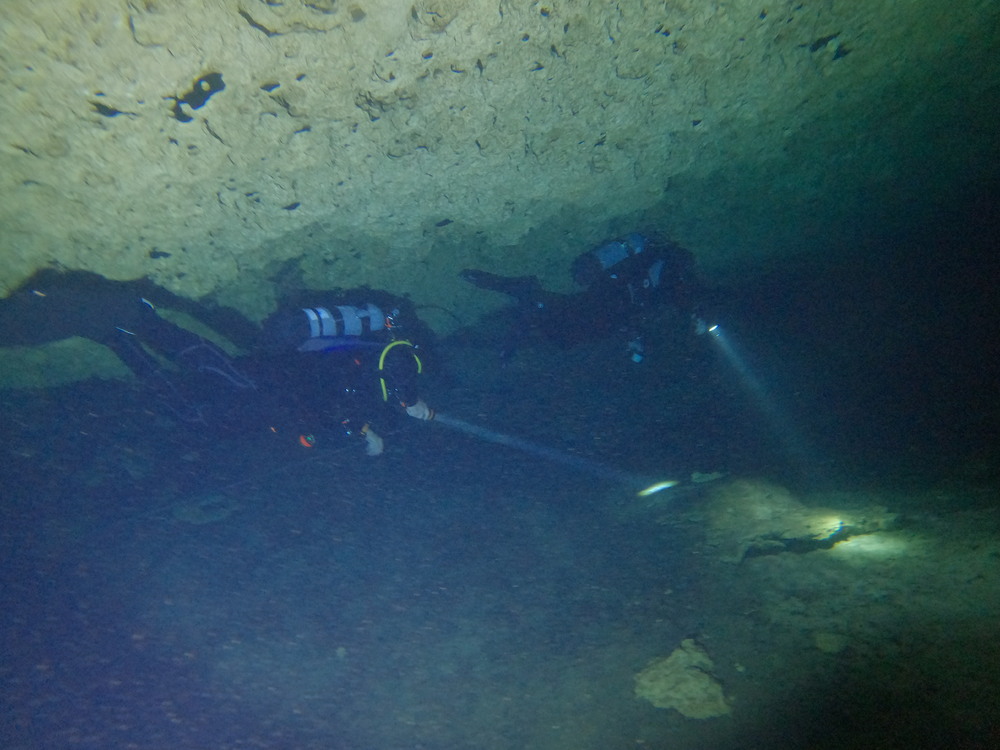 Dayo Scuba Center LLC, Orlando Florida www.dayo.com