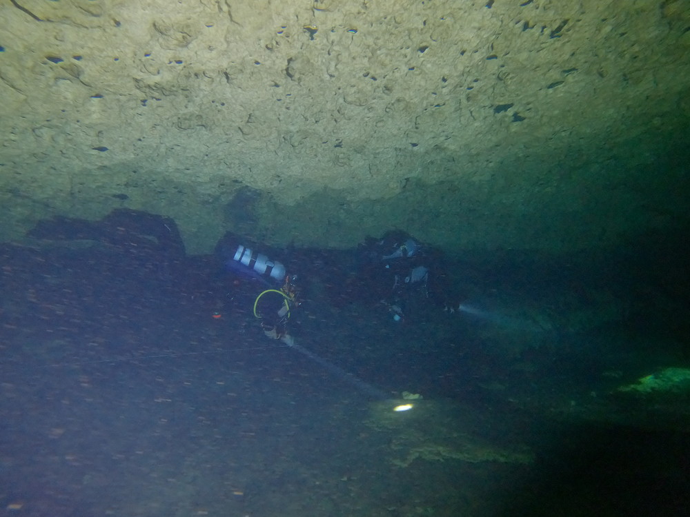 Dayo Scuba Center LLC, Orlando Florida www.dayo.com