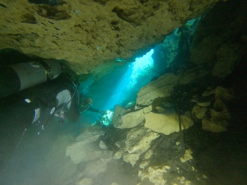 Dayo Scuba Center LLC, Orlando Florida www.dayo.com