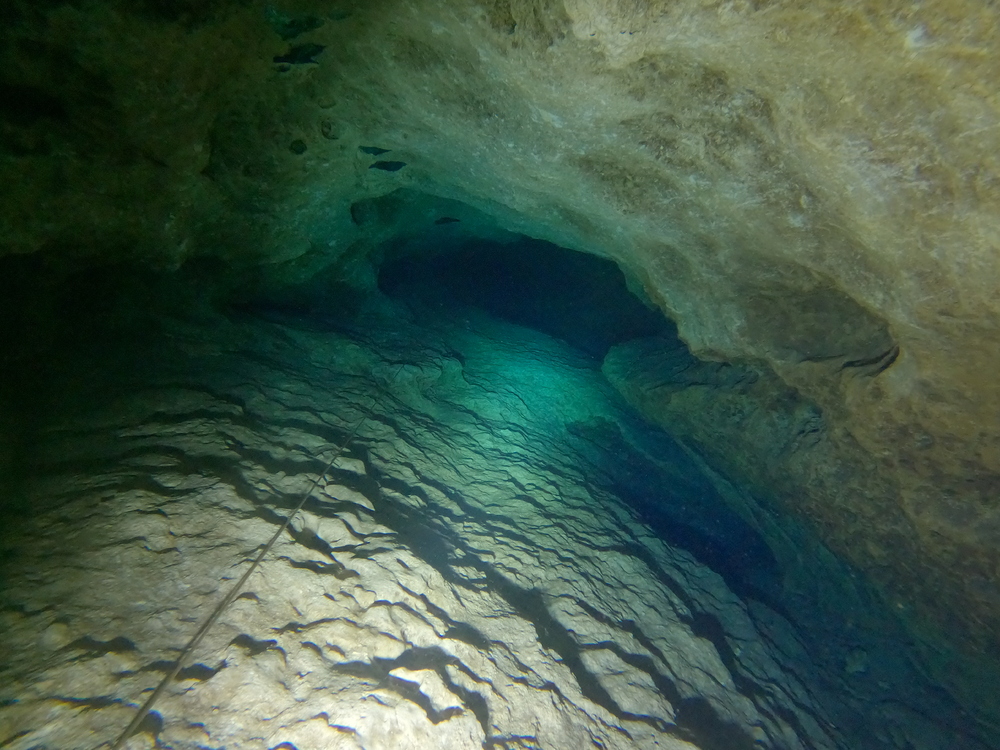 Dayo Scuba Center LLC, Orlando Florida www.dayo.com