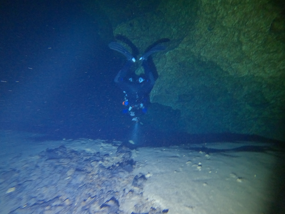 Dayo Scuba Center LLC, Orlando Florida www.dayo.com