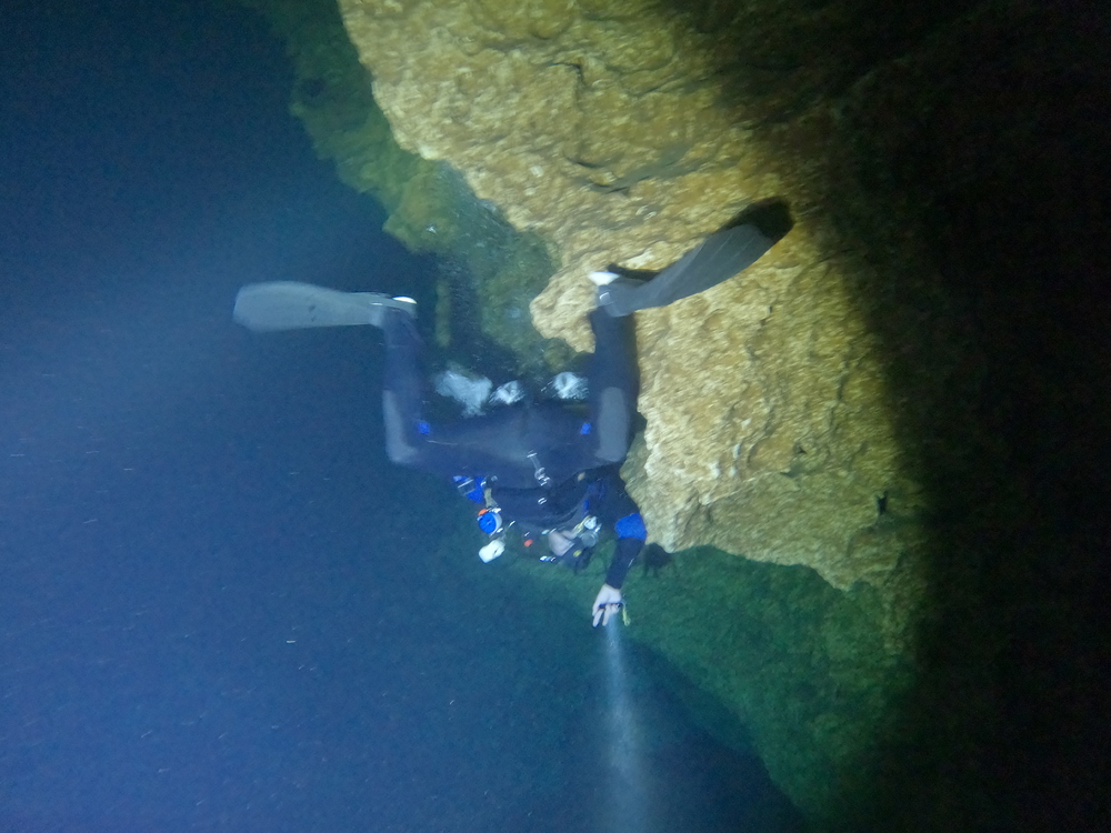 Dayo Scuba Center LLC, Orlando Florida www.dayo.com
