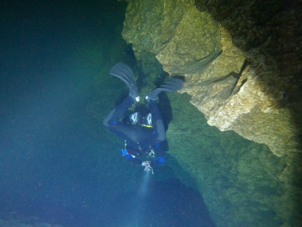 Dayo Scuba Center LLC, Orlando Florida www.dayo.com