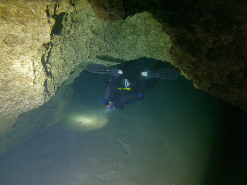 Dayo Scuba Center LLC, Orlando Florida www.dayo.com
