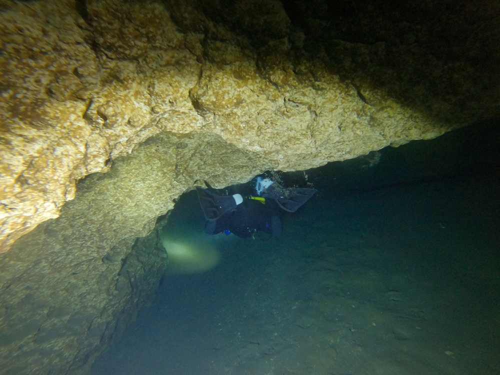 Dayo Scuba Center LLC, Orlando Florida www.dayo.com