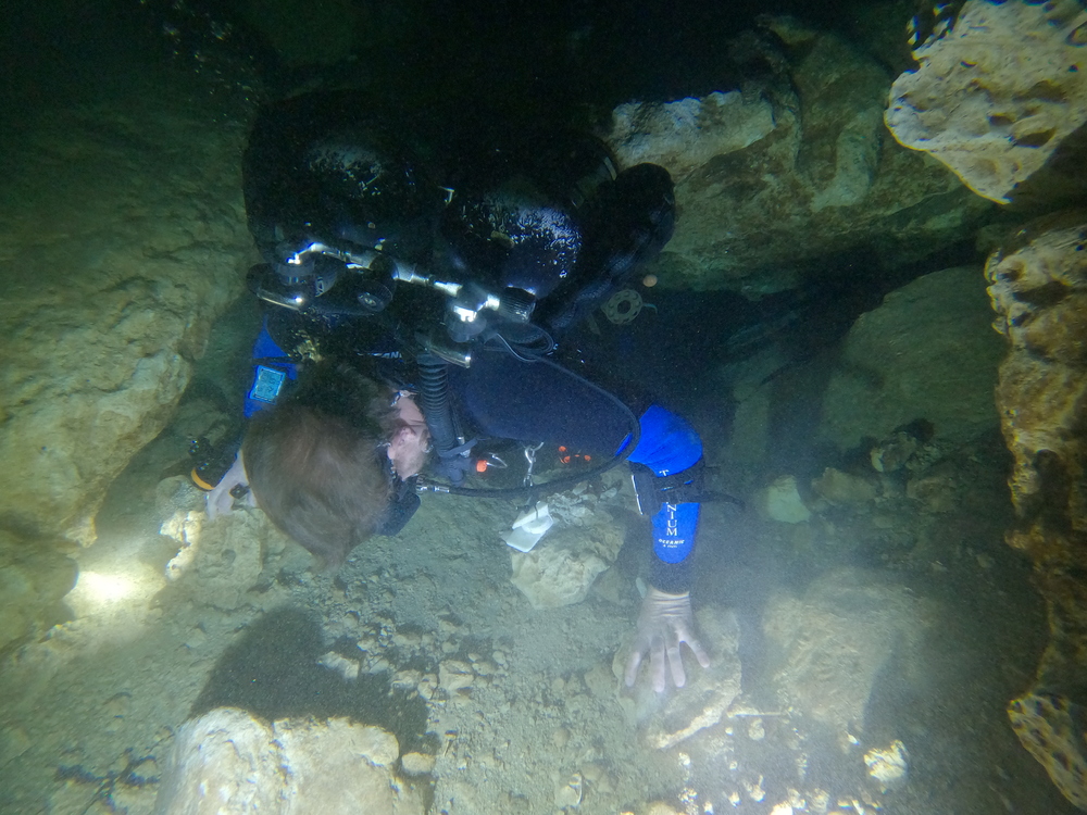 Dayo Scuba Center LLC, Orlando Florida www.dayo.com