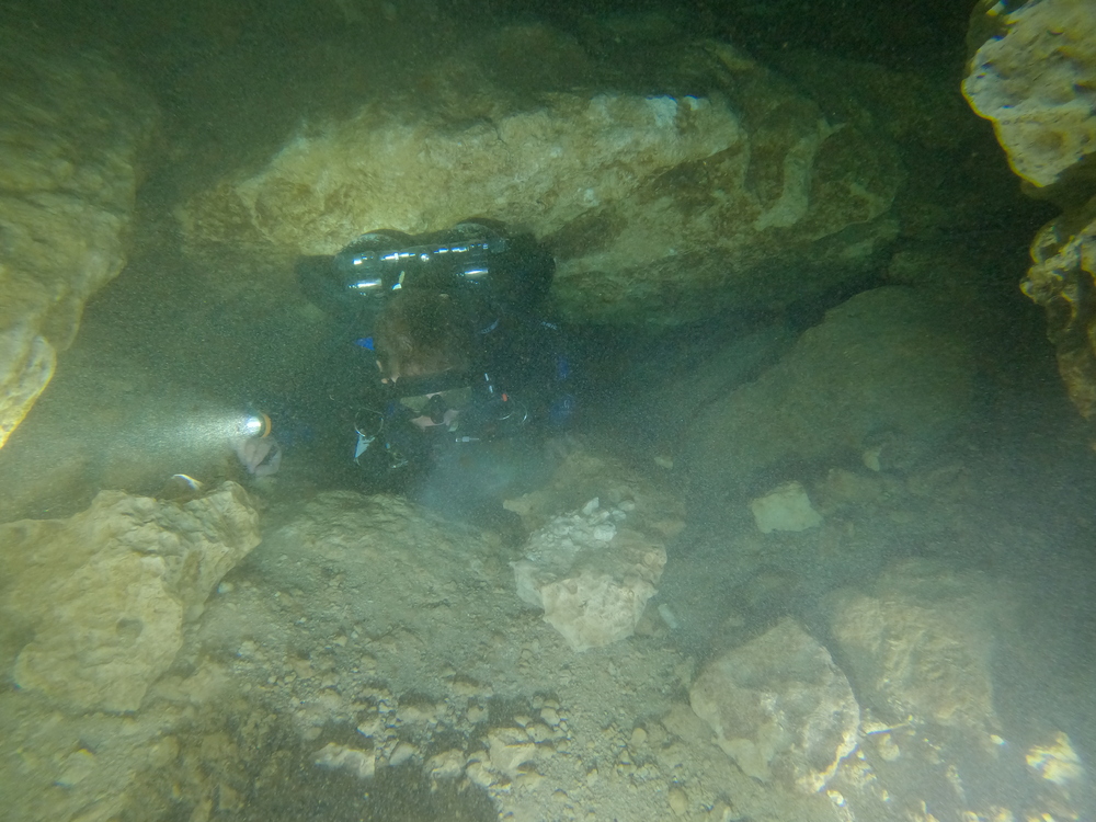 Dayo Scuba Center LLC, Orlando Florida www.dayo.com