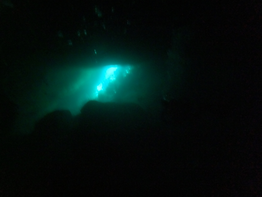 Dayo Scuba Center LLC, Orlando Florida www.dayo.com