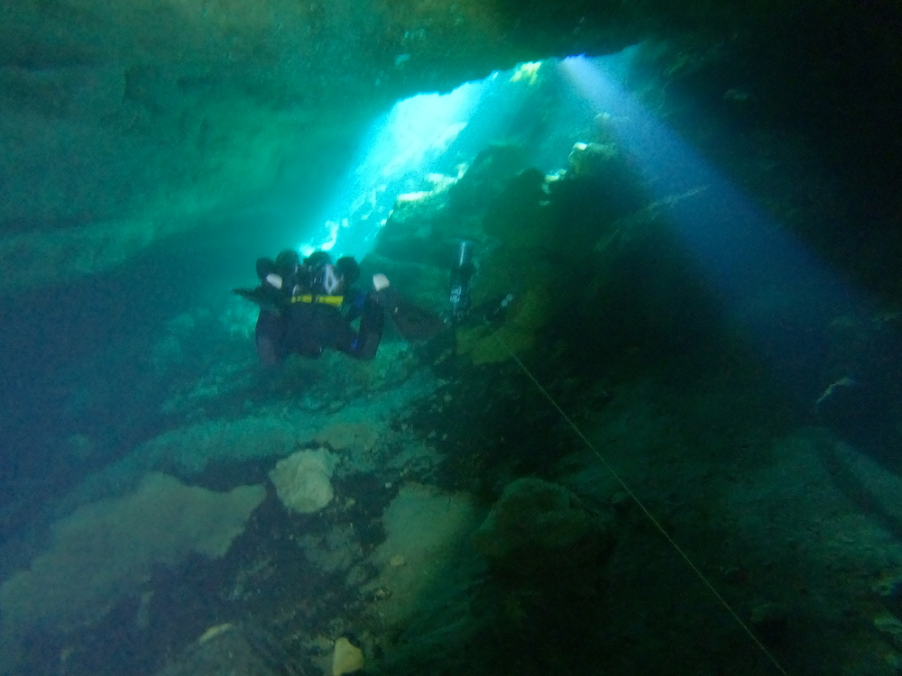 Dayo Scuba Center LLC, Orlando Florida www.dayo.com