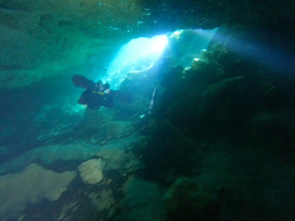 Dayo Scuba Center LLC, Orlando Florida www.dayo.com