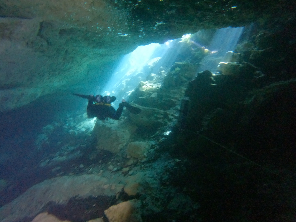 Dayo Scuba Center LLC, Orlando Florida www.dayo.com