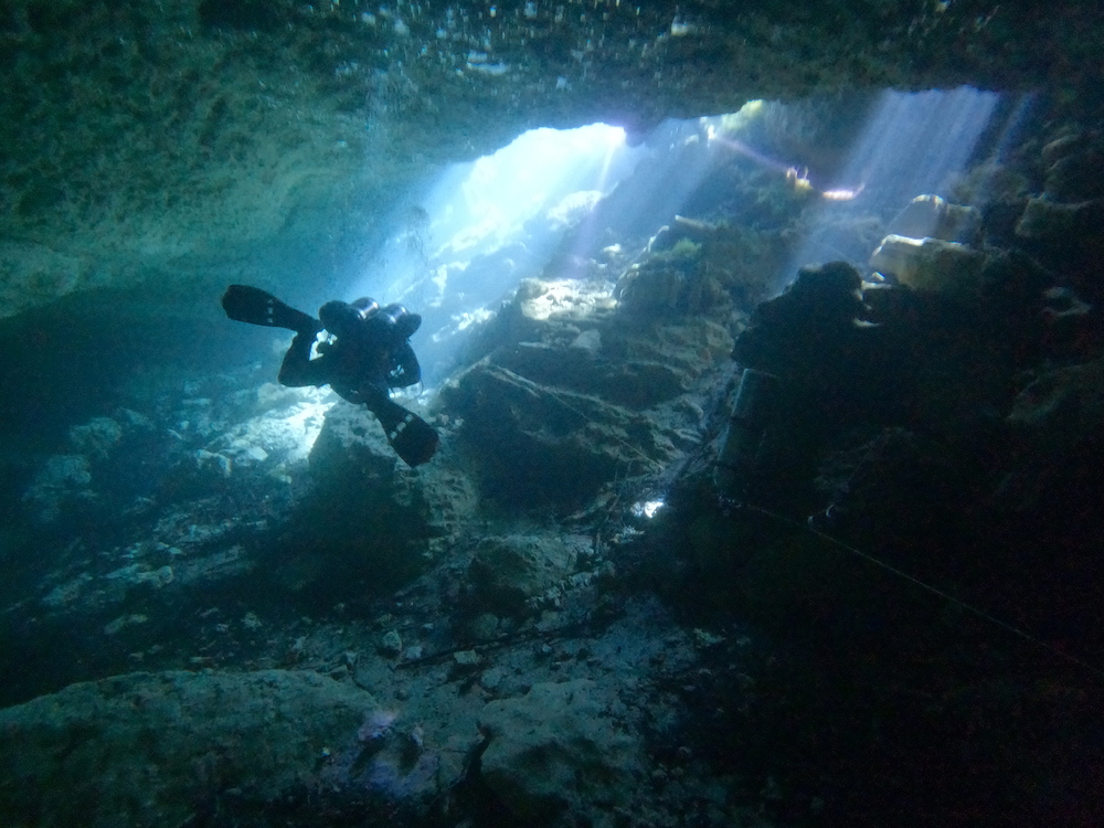 Dayo Scuba Center LLC, Orlando Florida www.dayo.com