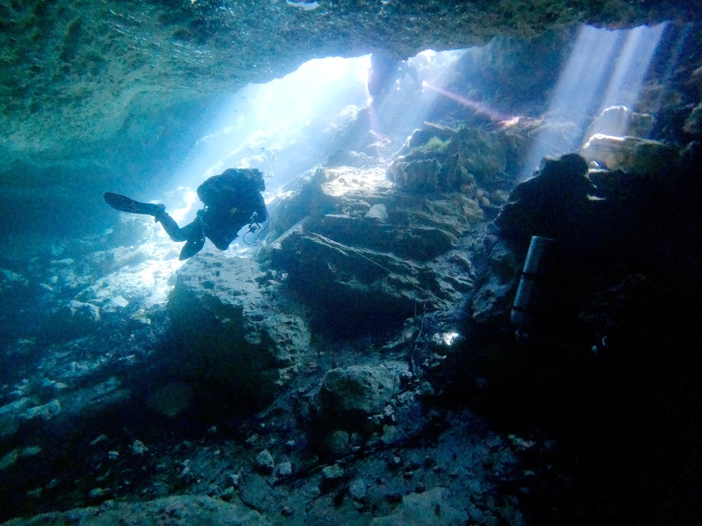 Dayo Scuba Center LLC, Orlando Florida www.dayo.com
