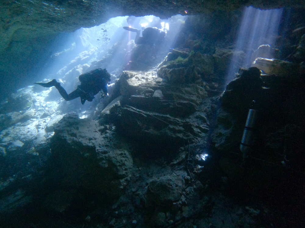 Dayo Scuba Center LLC, Orlando Florida www.dayo.com