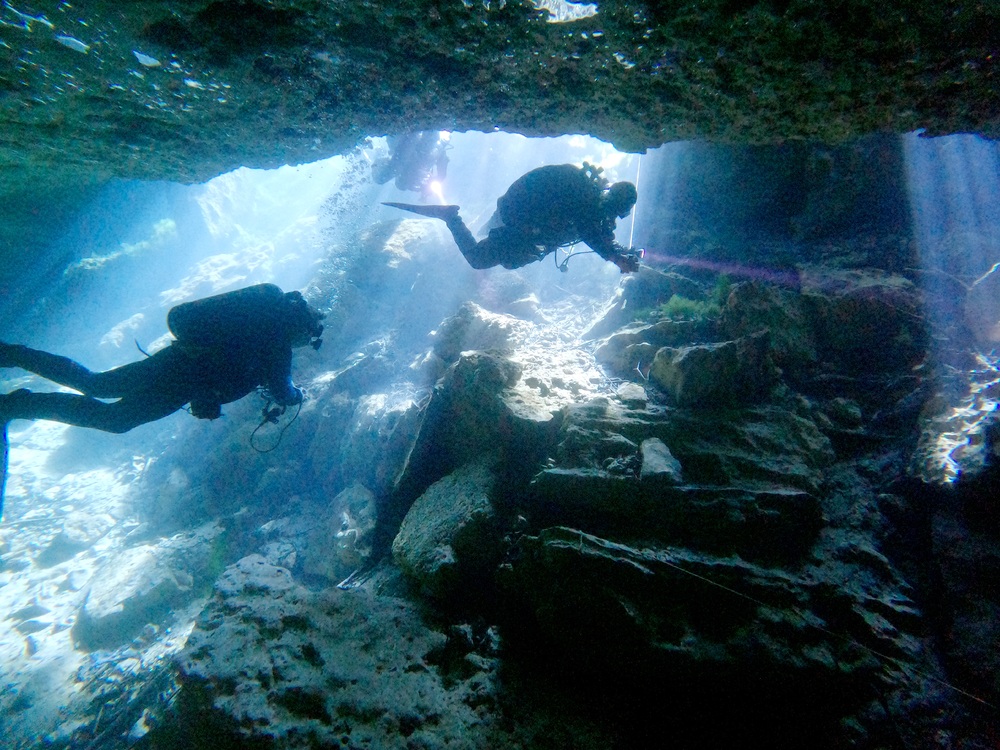 Dayo Scuba Center LLC, Orlando Florida www.dayo.com