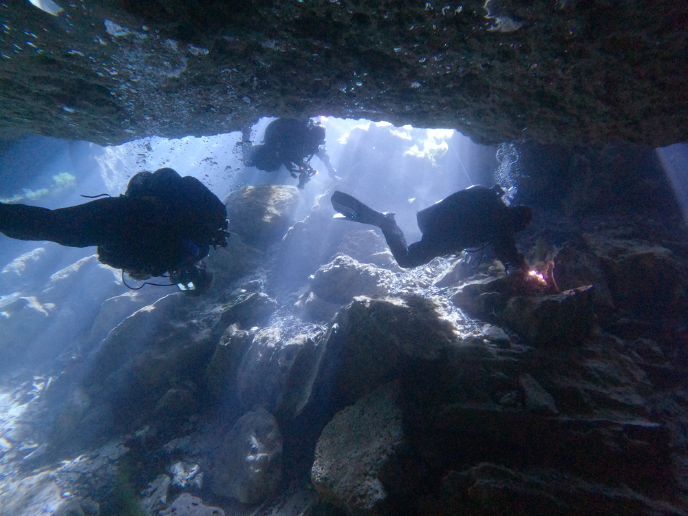 Dayo Scuba Center LLC, Orlando Florida www.dayo.com