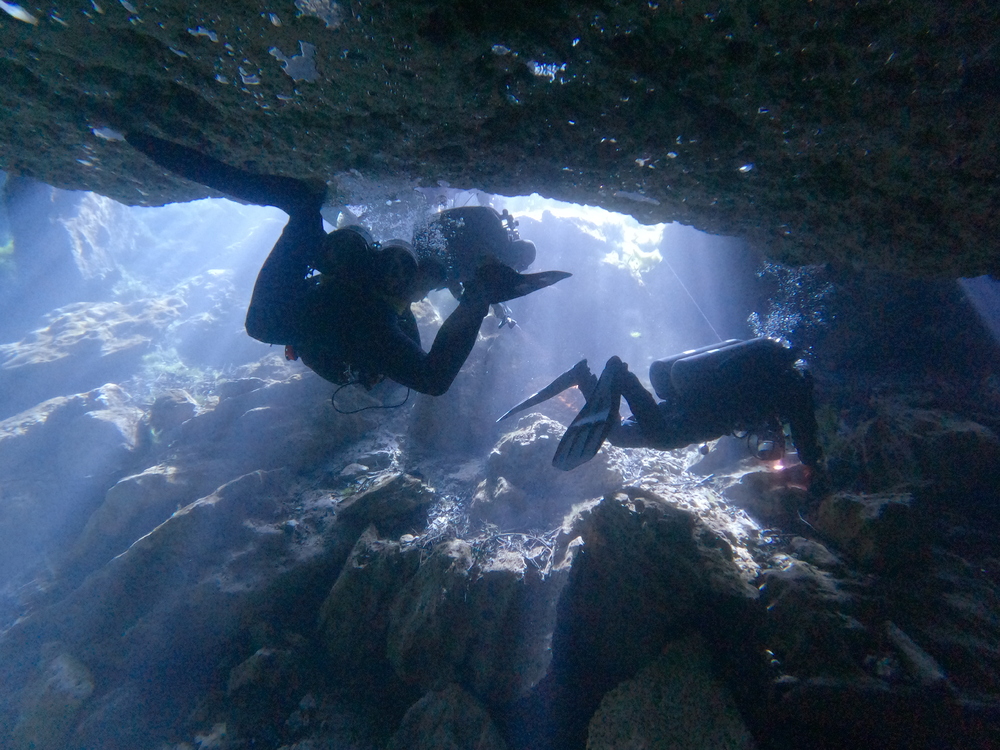 Dayo Scuba Center LLC, Orlando Florida www.dayo.com