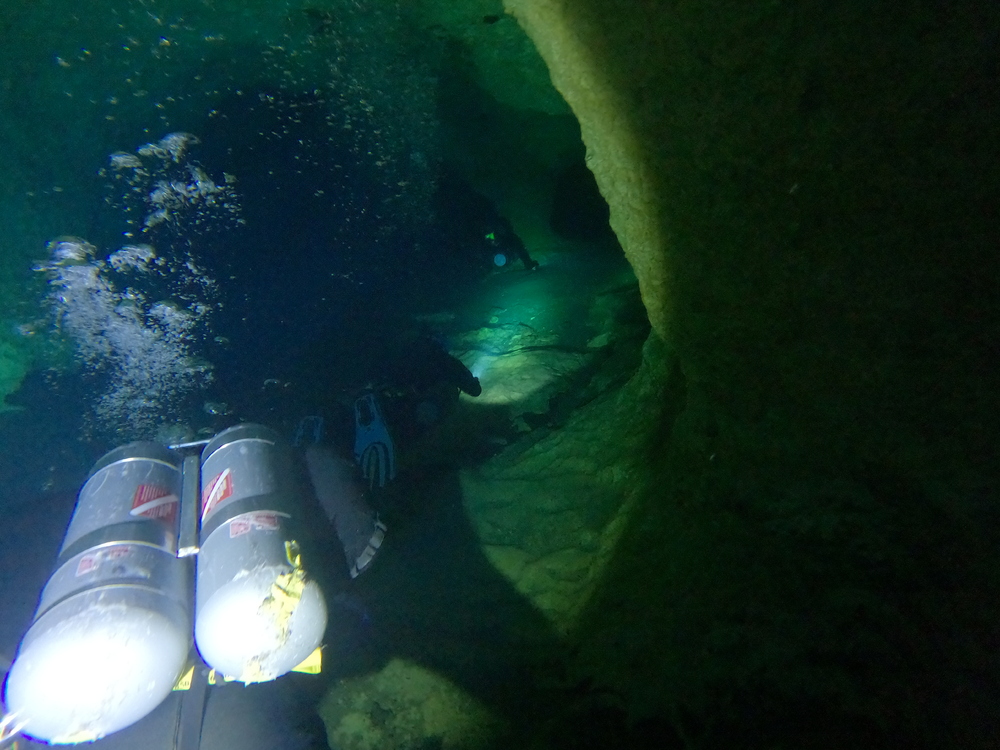 Dayo Scuba Center LLC, Orlando Florida www.dayo.com