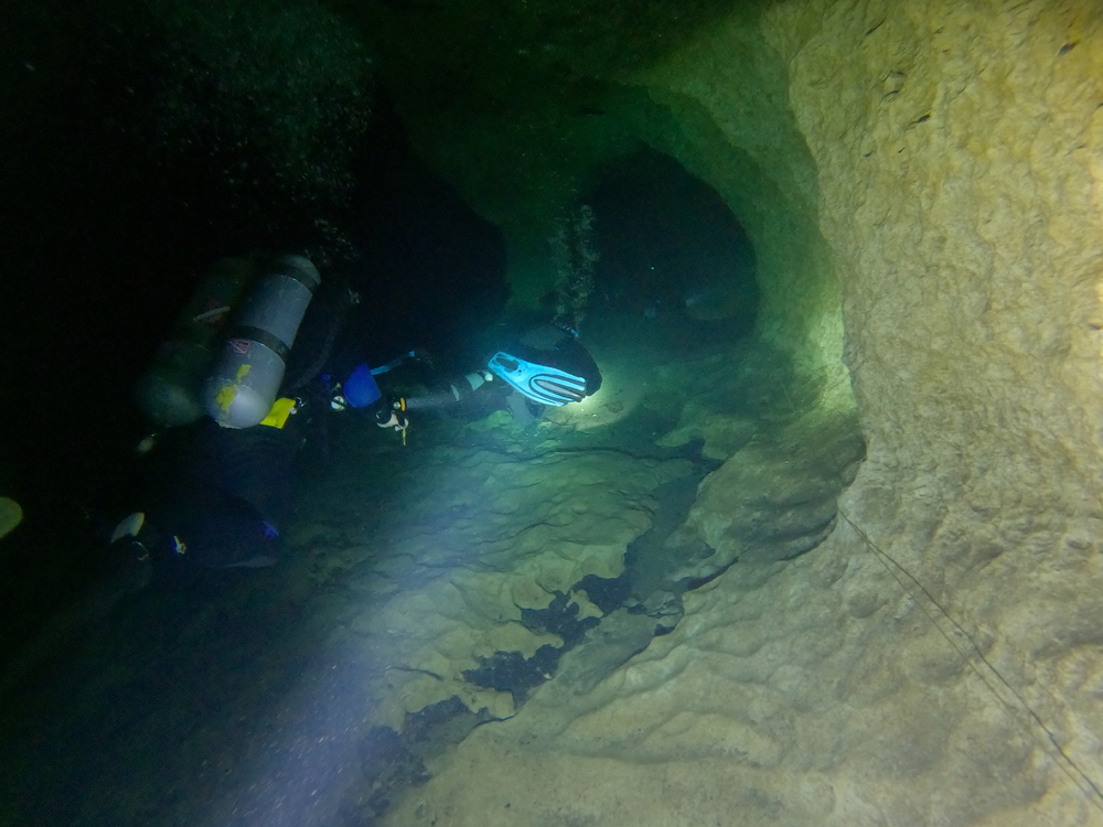 Dayo Scuba Center LLC, Orlando Florida www.dayo.com