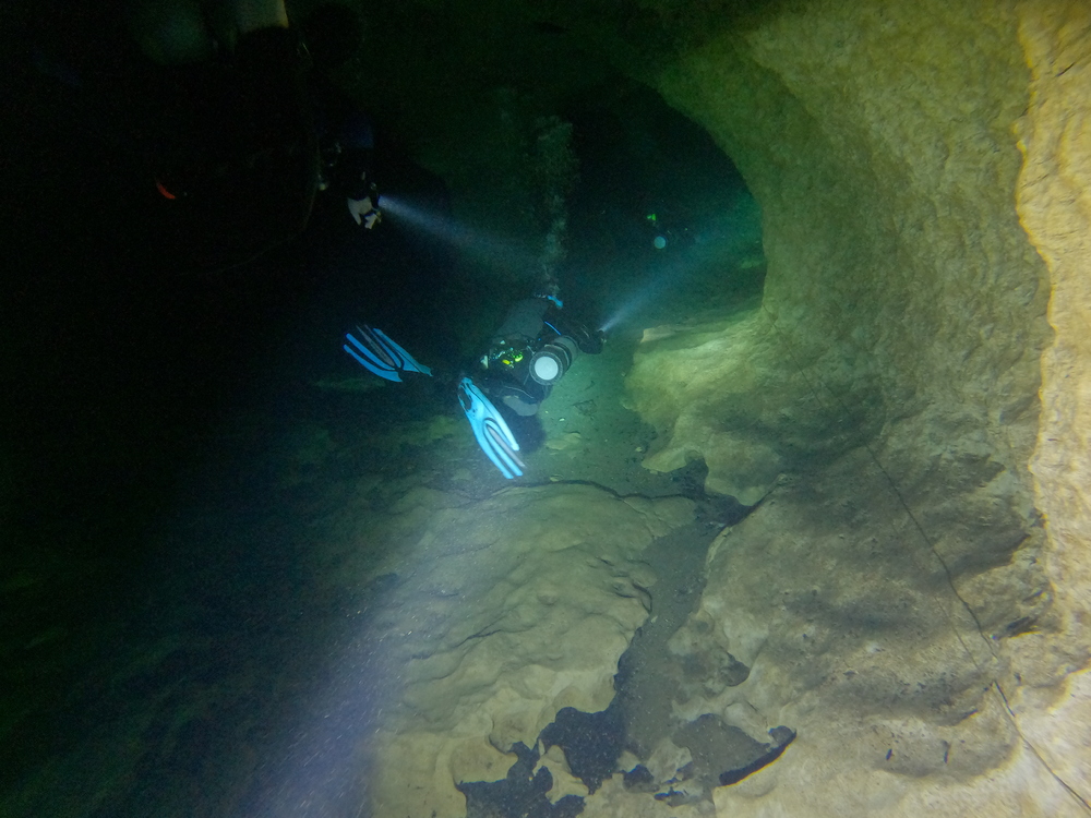 Dayo Scuba Center LLC, Orlando Florida www.dayo.com