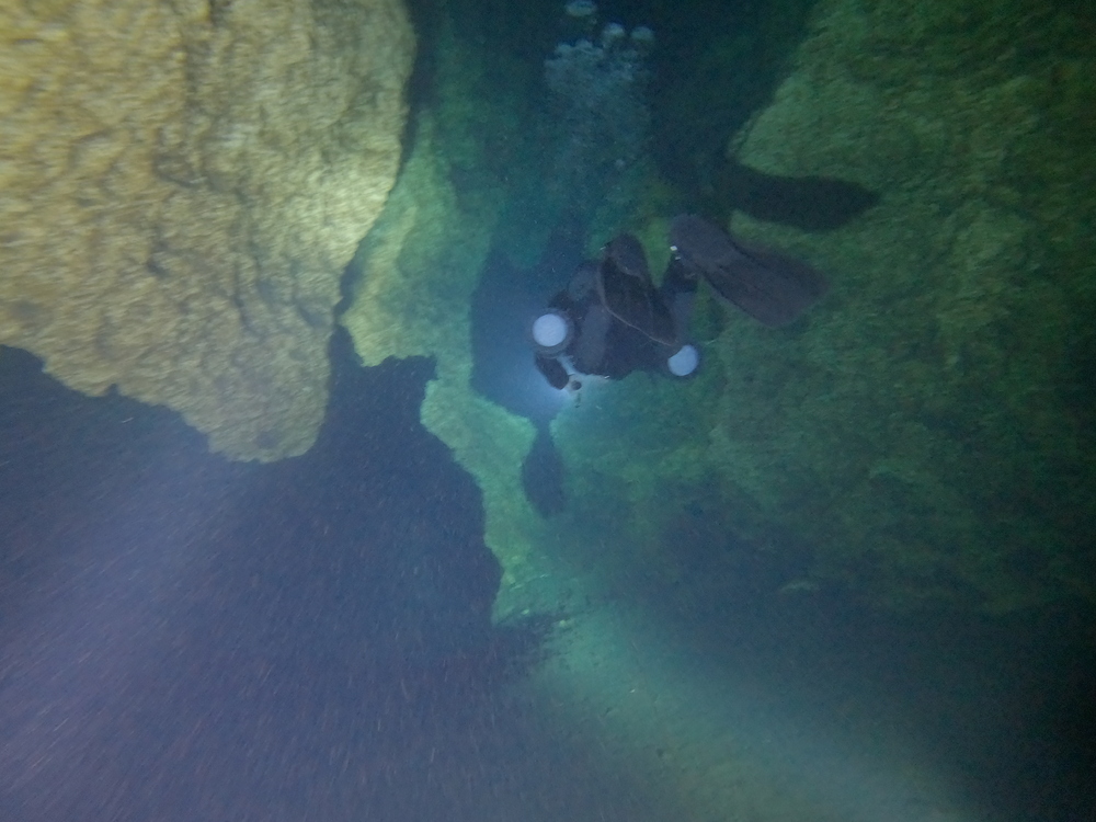 Dayo Scuba Center LLC, Orlando Florida www.dayo.com