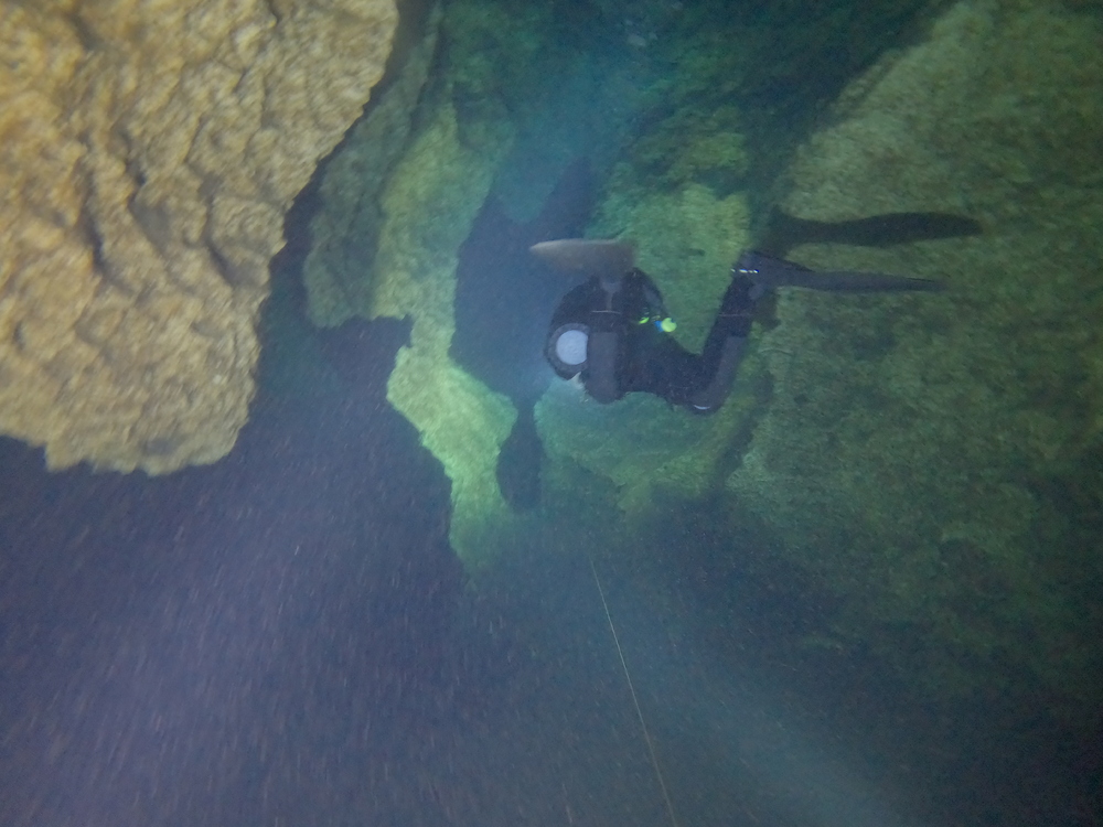 Dayo Scuba Center LLC, Orlando Florida www.dayo.com