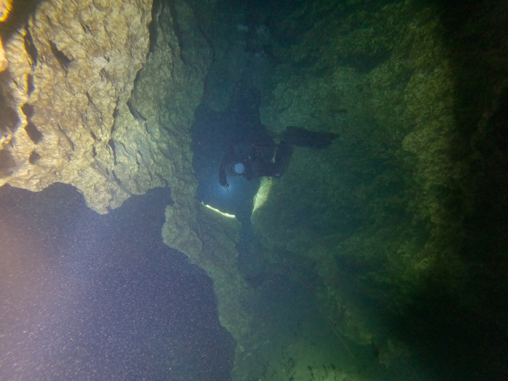 Dayo Scuba Center LLC, Orlando Florida www.dayo.com