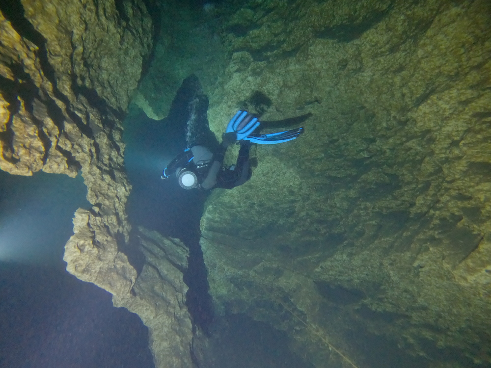 Dayo Scuba Center LLC, Orlando Florida www.dayo.com