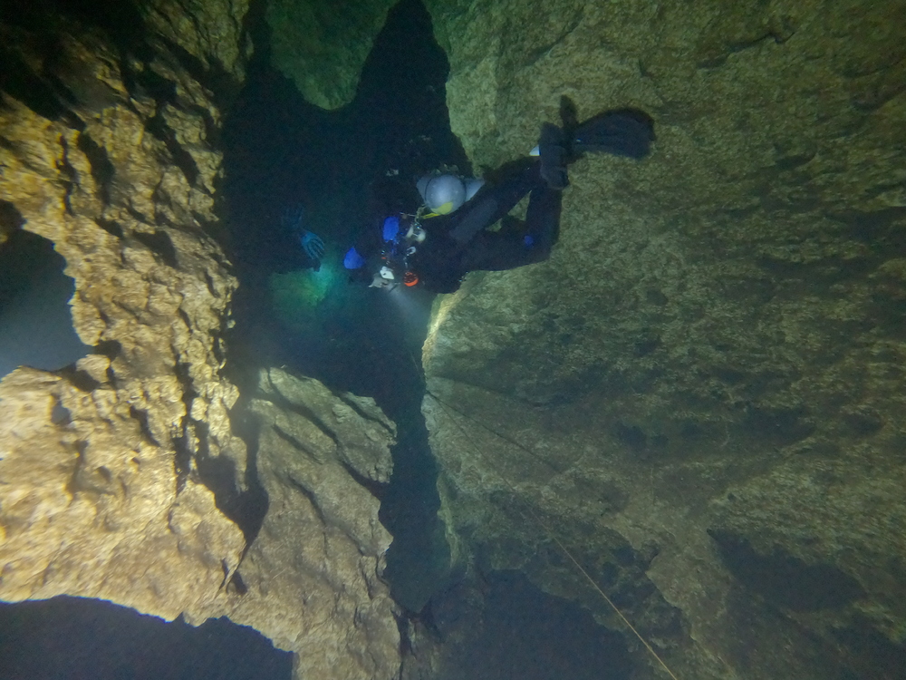 Dayo Scuba Center LLC, Orlando Florida www.dayo.com