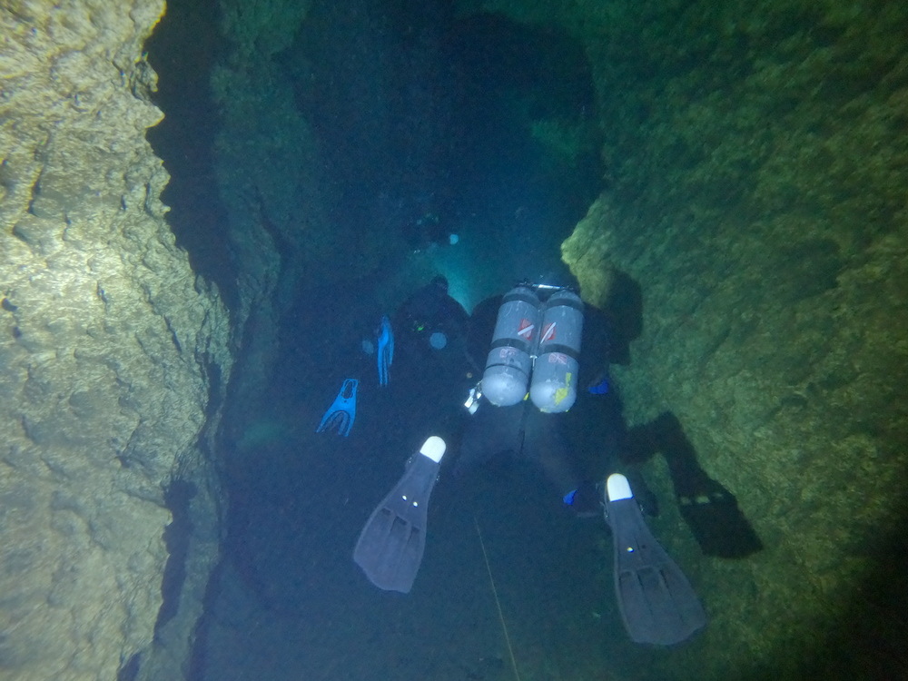 Dayo Scuba Center LLC, Orlando Florida www.dayo.com
