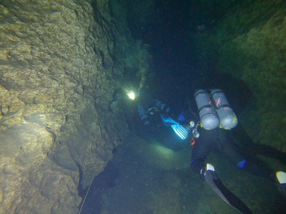Dayo Scuba Center LLC, Orlando Florida www.dayo.com