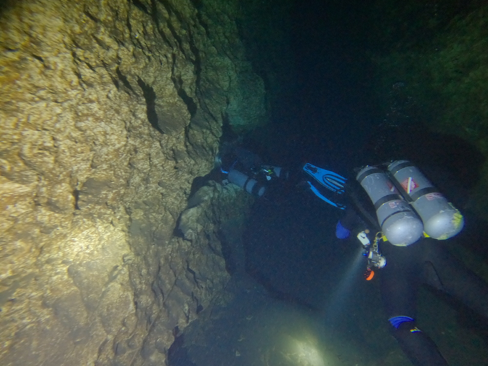 Dayo Scuba Center LLC, Orlando Florida www.dayo.com