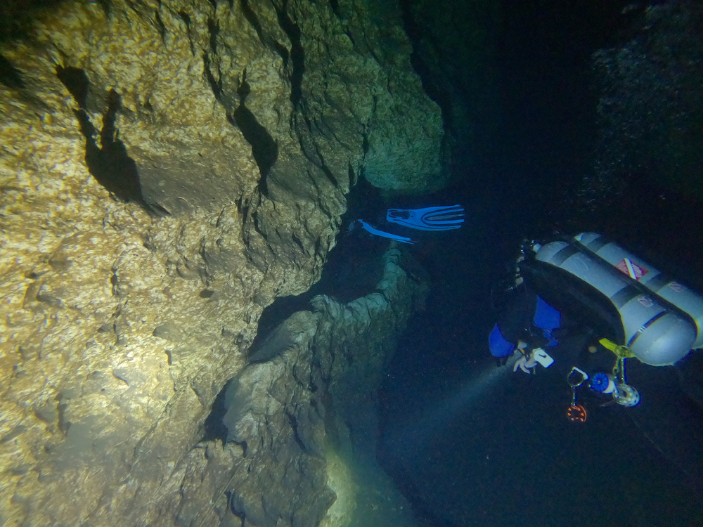 Dayo Scuba Center LLC, Orlando Florida www.dayo.com