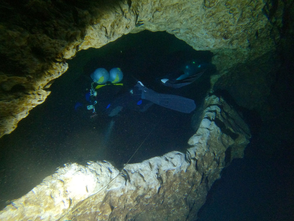Dayo Scuba Center LLC, Orlando Florida www.dayo.com