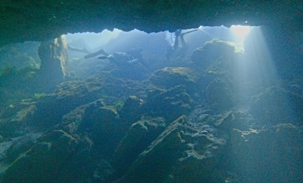 Dayo Scuba Center LLC, Orlando Florida www.dayo.com