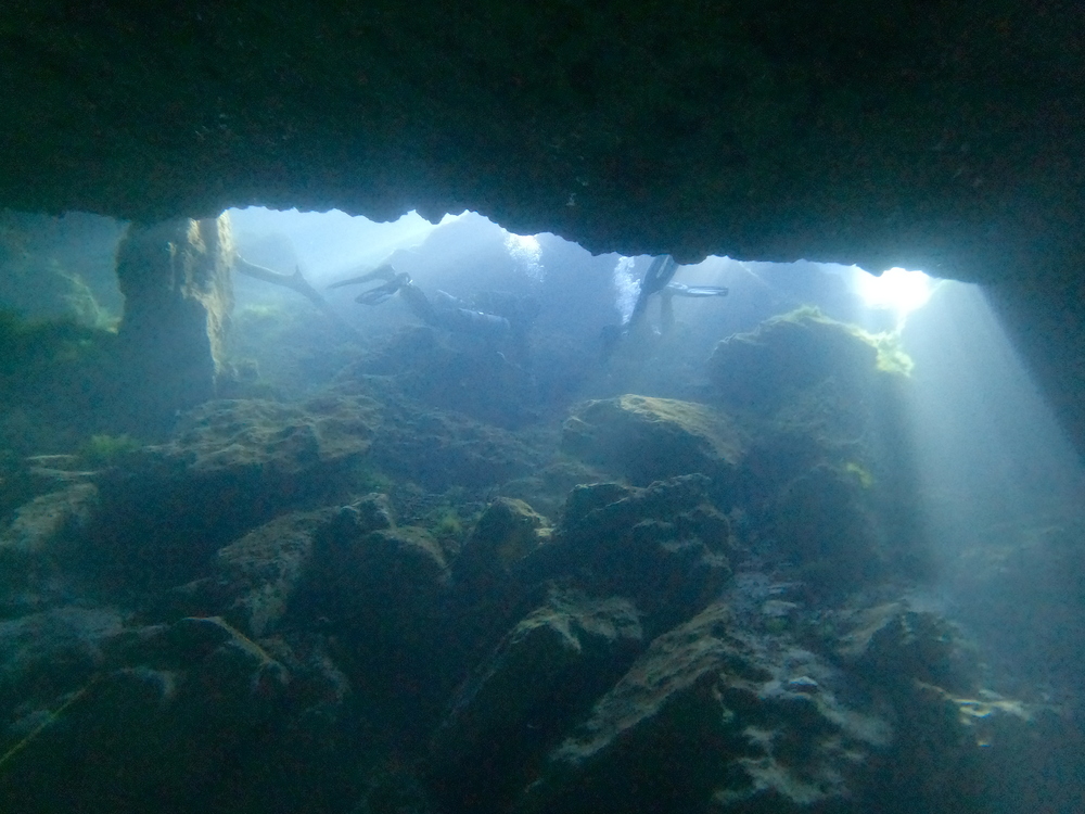 Dayo Scuba Center LLC, Orlando Florida www.dayo.com
