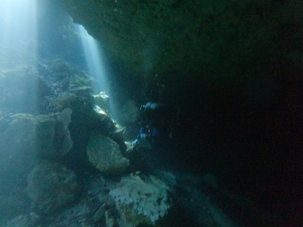 Dayo Scuba Center LLC, Orlando Florida www.dayo.com