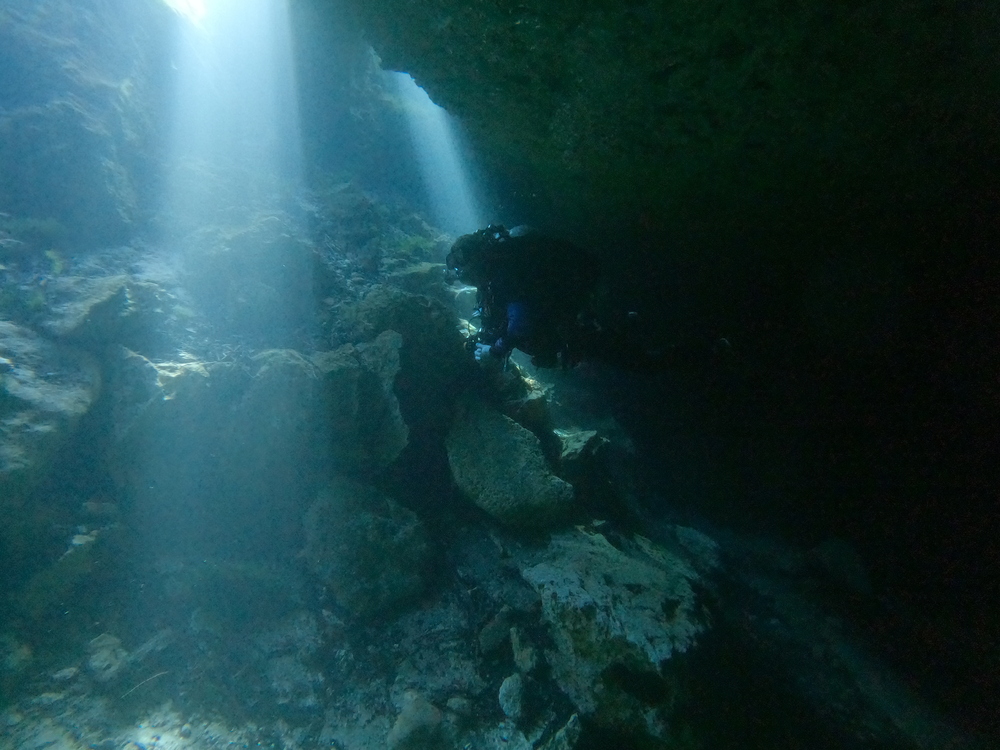 Dayo Scuba Center LLC, Orlando Florida www.dayo.com
