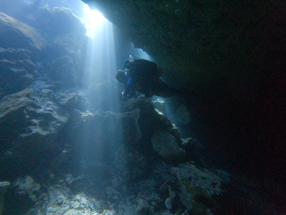 Dayo Scuba Center LLC, Orlando Florida www.dayo.com