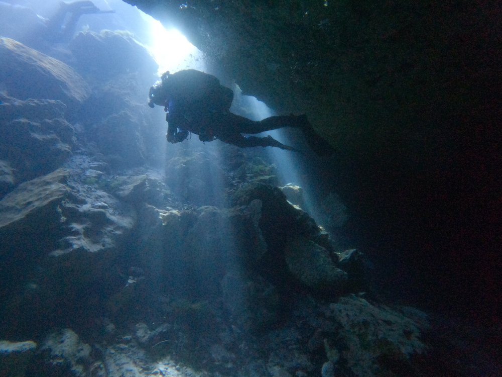 Dayo Scuba Center LLC, Orlando Florida www.dayo.com