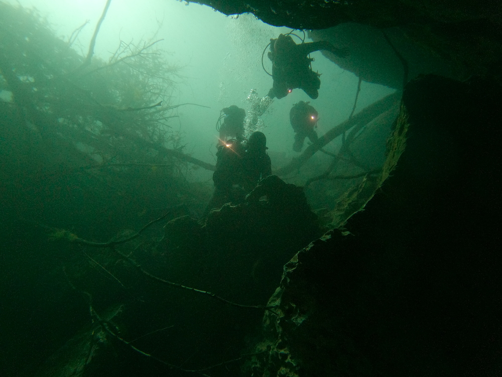Dayo Scuba Center LLC, Orlando Florida www.dayo.com