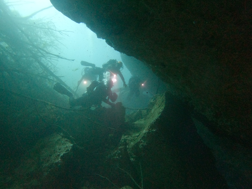 Dayo Scuba Center LLC, Orlando Florida www.dayo.com