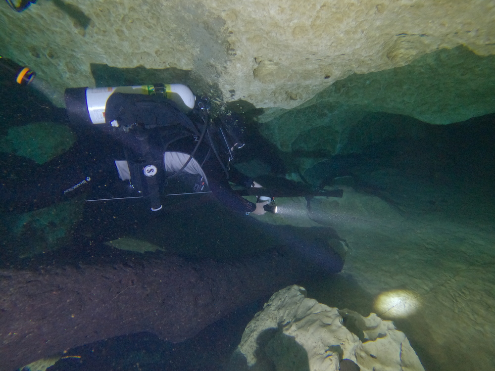 Dayo Scuba Center LLC, Orlando Florida www.dayo.com