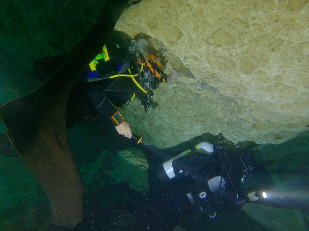 Dayo Scuba Center LLC, Orlando Florida www.dayo.com