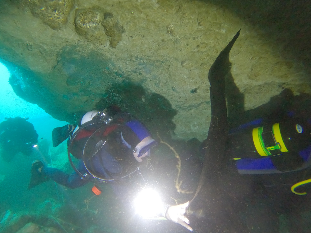 Dayo Scuba Center LLC, Orlando Florida www.dayo.com